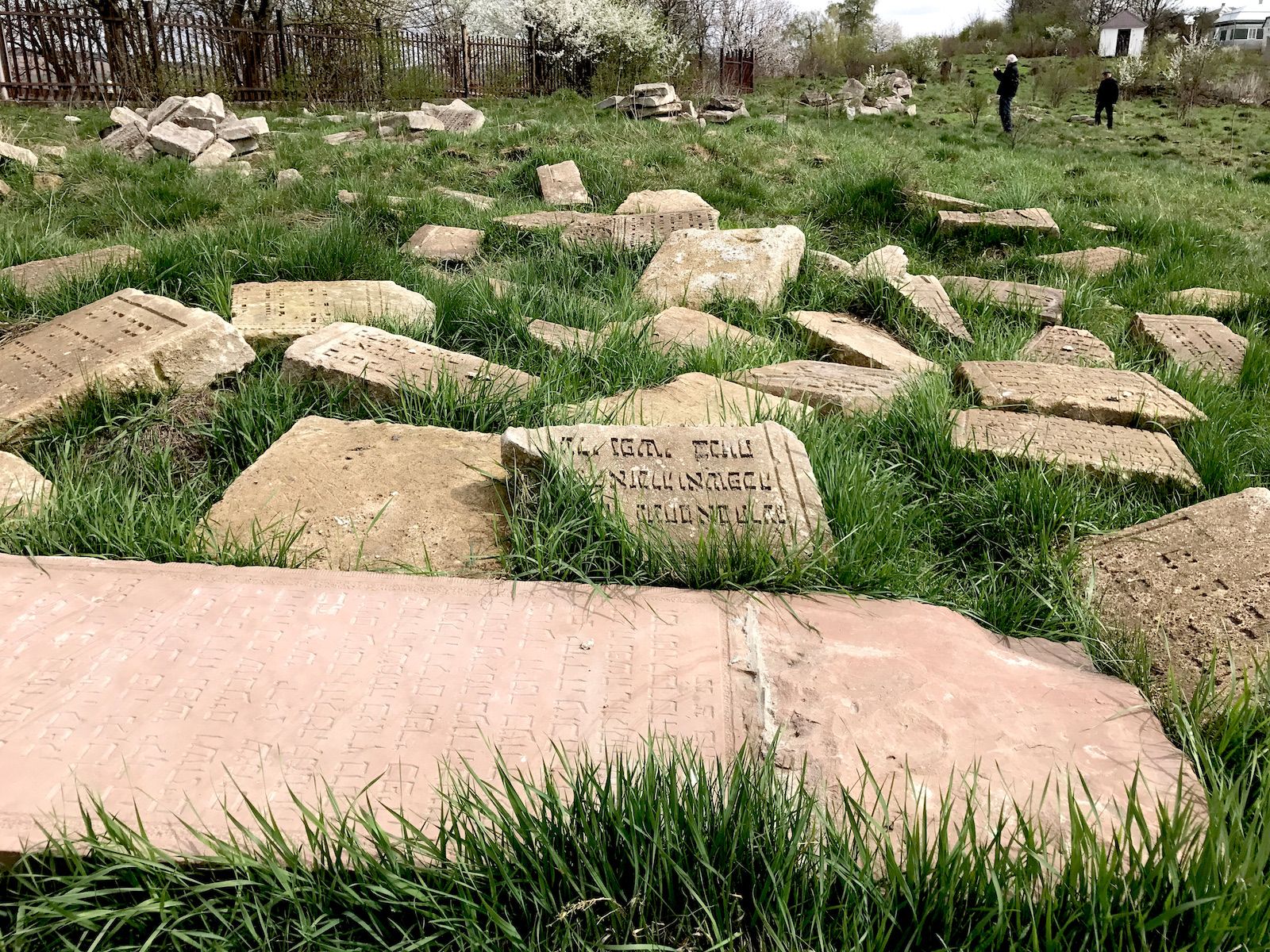 Малая часть из 600+ найденных в Рогатине еврейских надгробий - фото 59093
