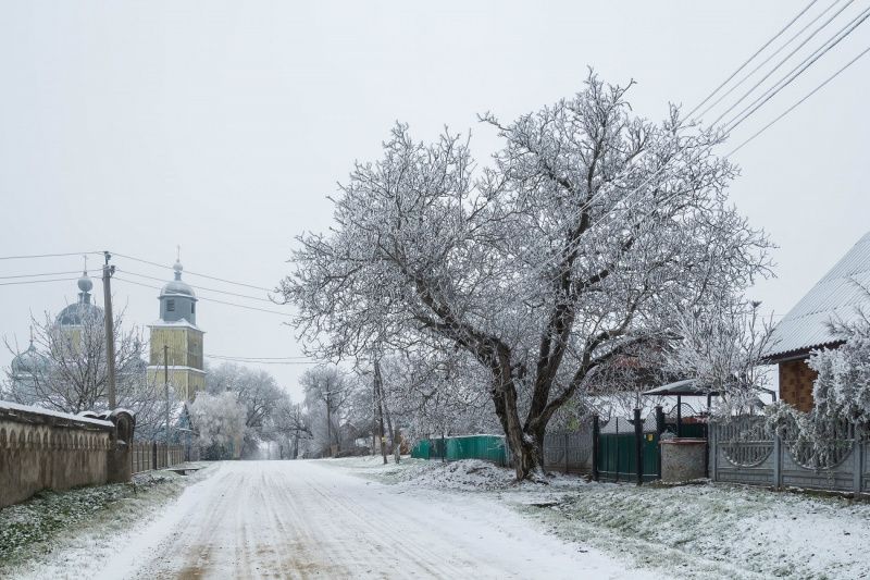 Зимові пейзажі околиць села Біла Криниця - фото 67399