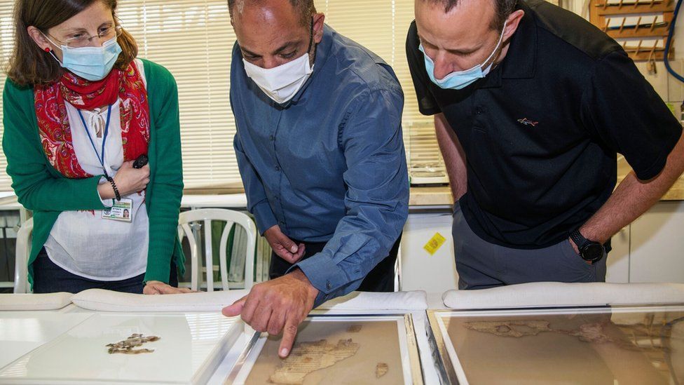 В Ізраїлі знайшли біблійні сувої, яким приблизно 2000 років, та скелет дитини - фото 68858