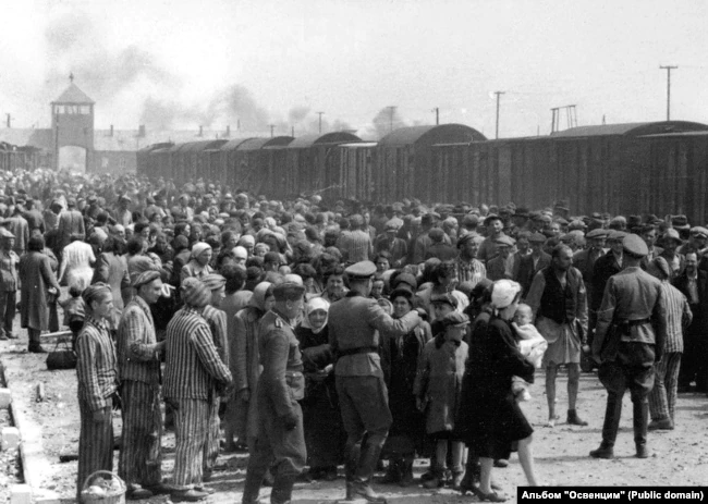 Нові в'язні з Угорщини, привезені в Аушвіц-Біркенау в травні-червні 1944 року - фото 79536