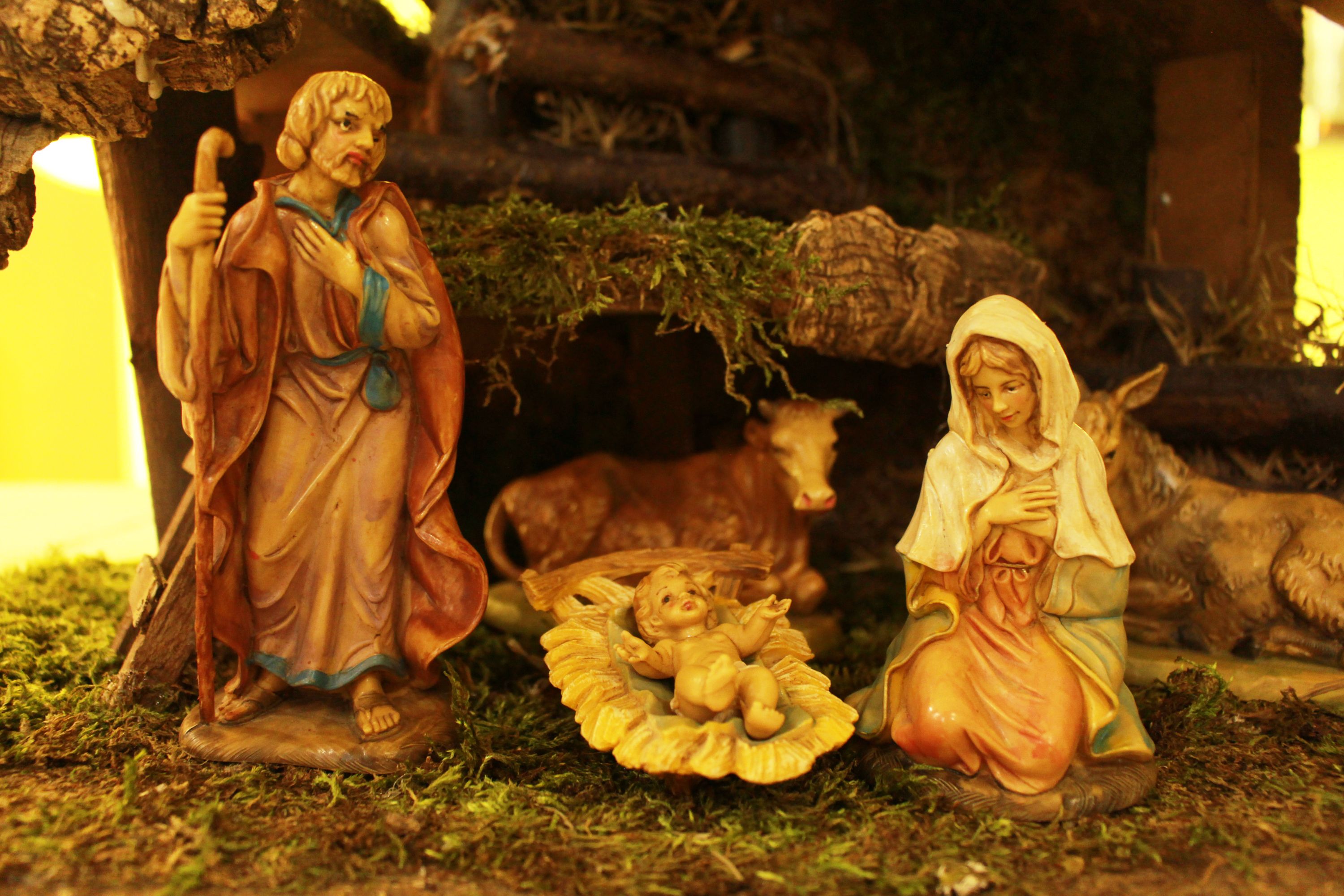 “Взаємовідносини з Богом в цей різдвяний час є найважливішими”, — єпископ Павло Шварц - фото 84510