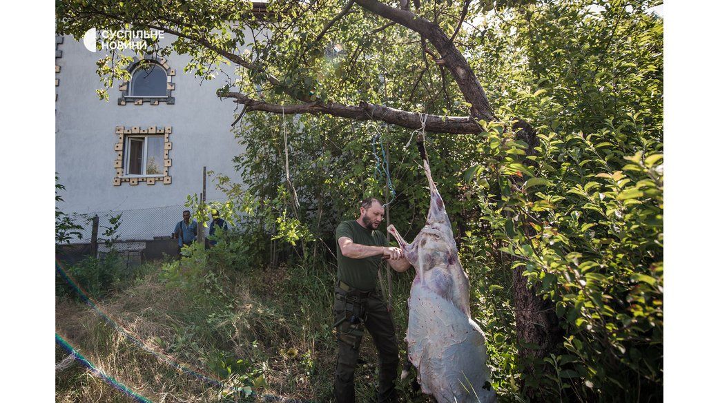 Чоловік знімає шкіру з забитого барана в мечеті на Донеччині, липень 2022 року - фото 96333