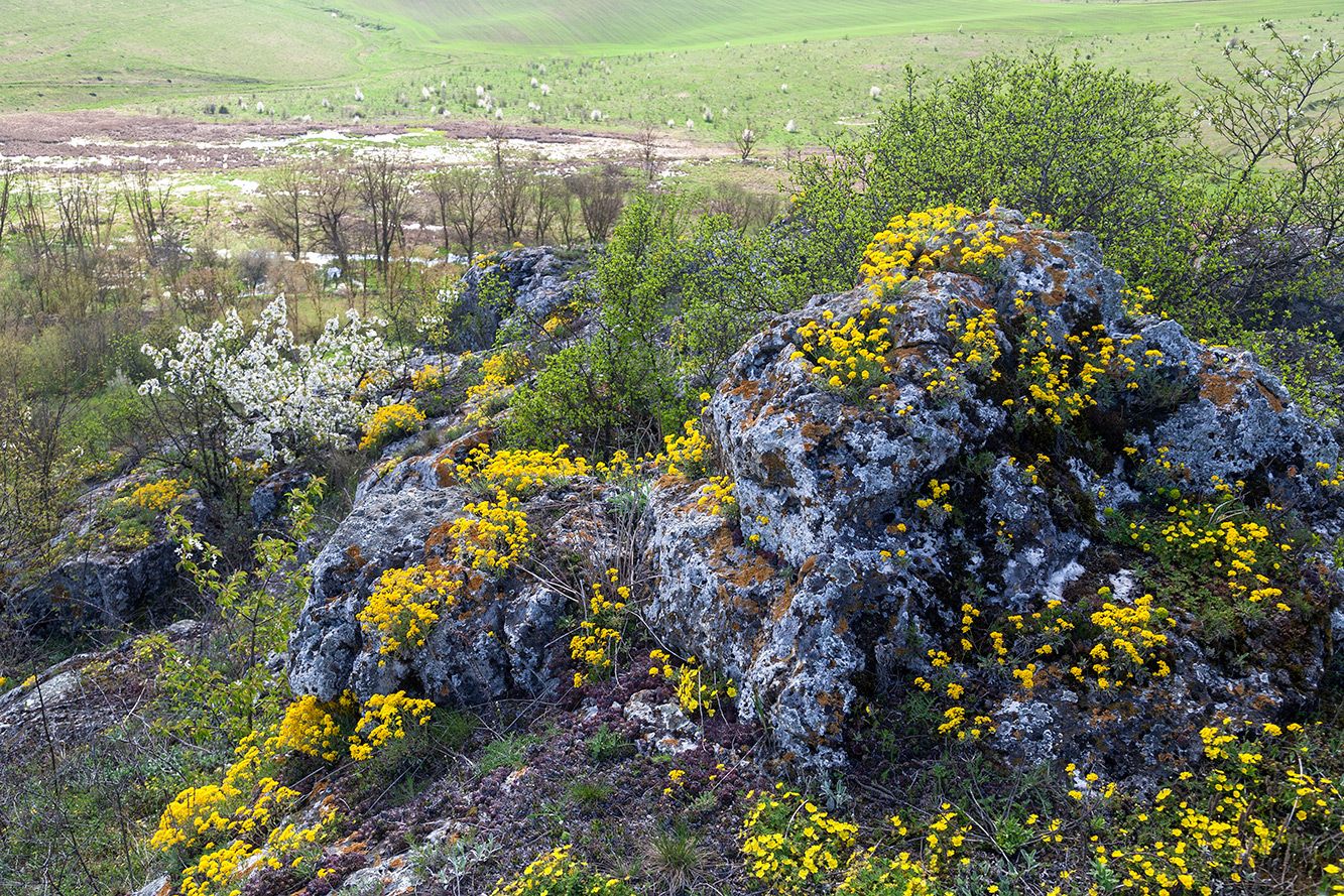 Скельний гребінь на горі Баба, в основі якого знаходиться печера - фото 115485