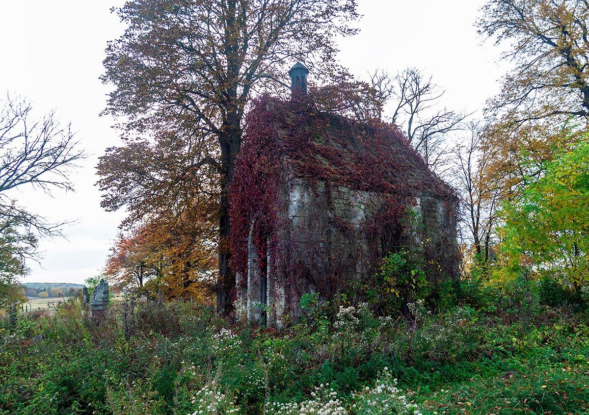 Капличка-гробівець графської родини Забєльських - фото 125225