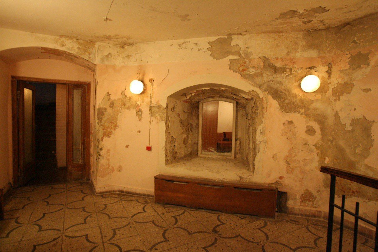 Стіни підвальних приміщень вкриті грибком. - фото 125345