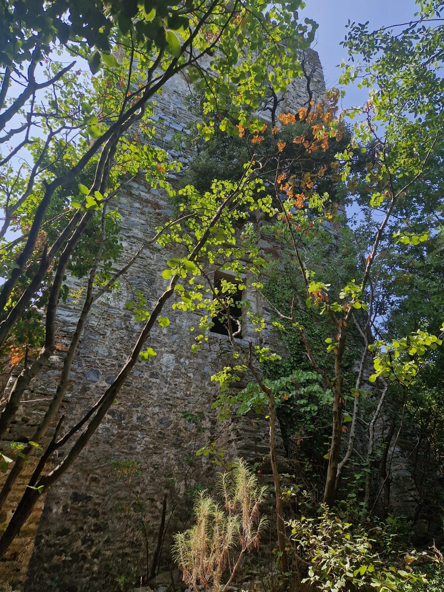 The forgotten centre of unity between the monasticism of the Eastern and Western Churches on Mount Athos - фото 139242