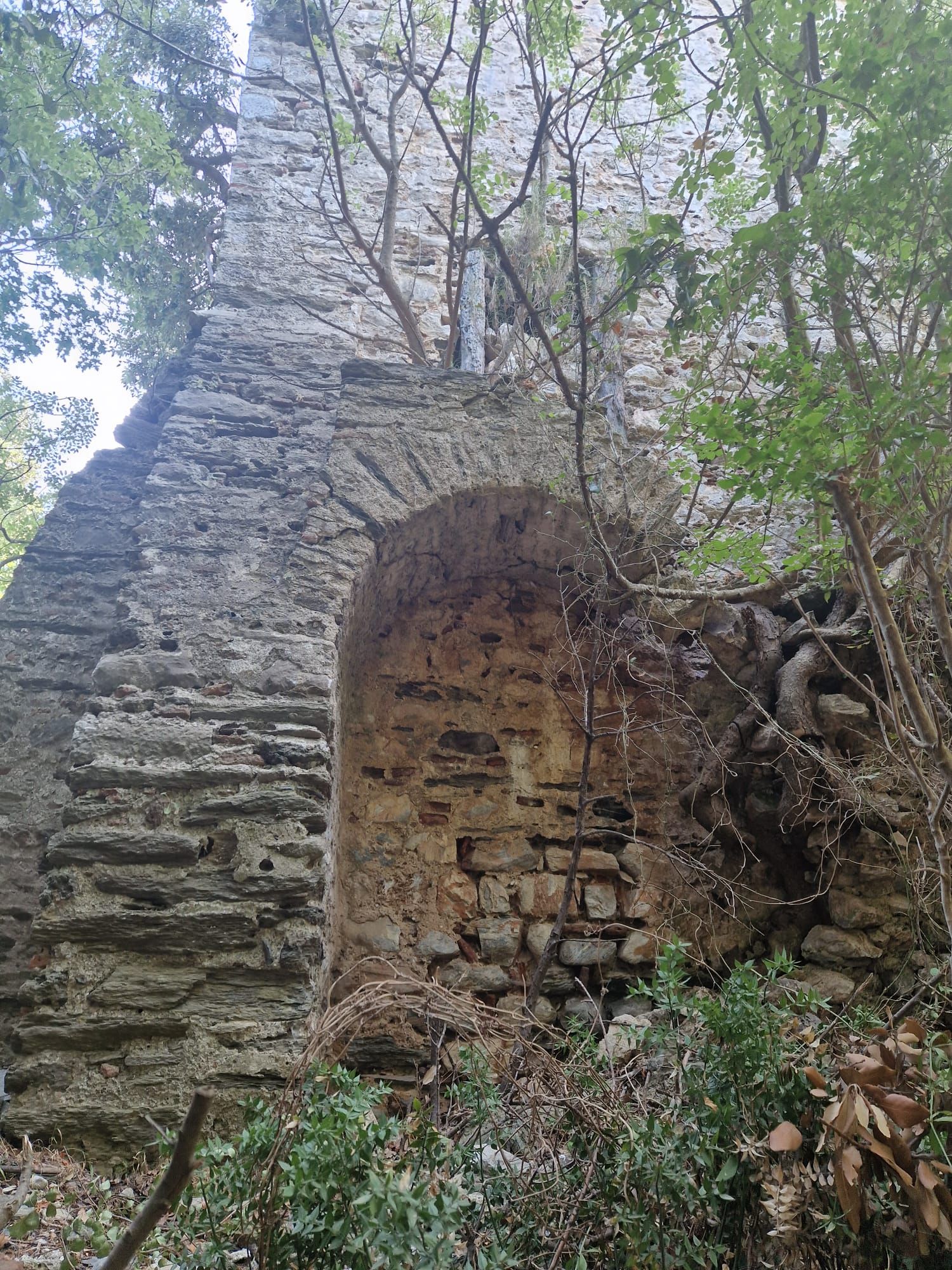 The forgotten centre of unity between the monasticism of the Eastern and Western Churches on Mount Athos - фото 139248