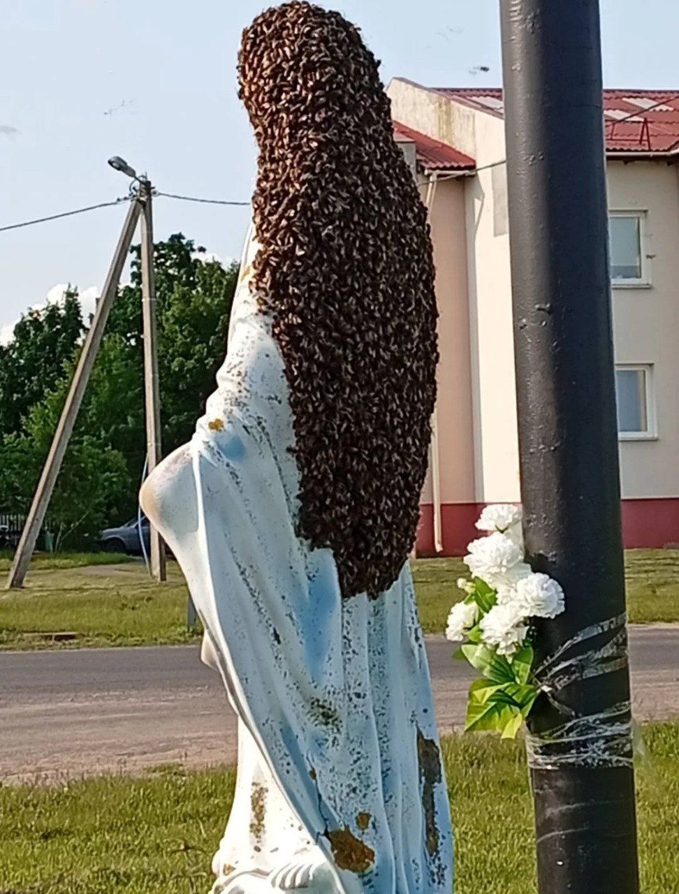 Бджоли зробили «хустку» на фігурі Діви Марії в Білорусі - фото 153633