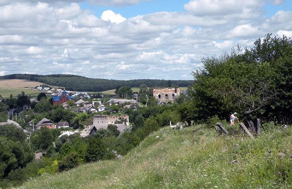   Панорама з єврейського цвинтаря на Сатанів. Внизу видно міську браму й синагогу - фото 158257