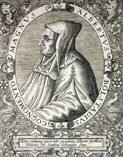 св. Альберт Великий - 161141 св. Альберт Великий - фото 161141