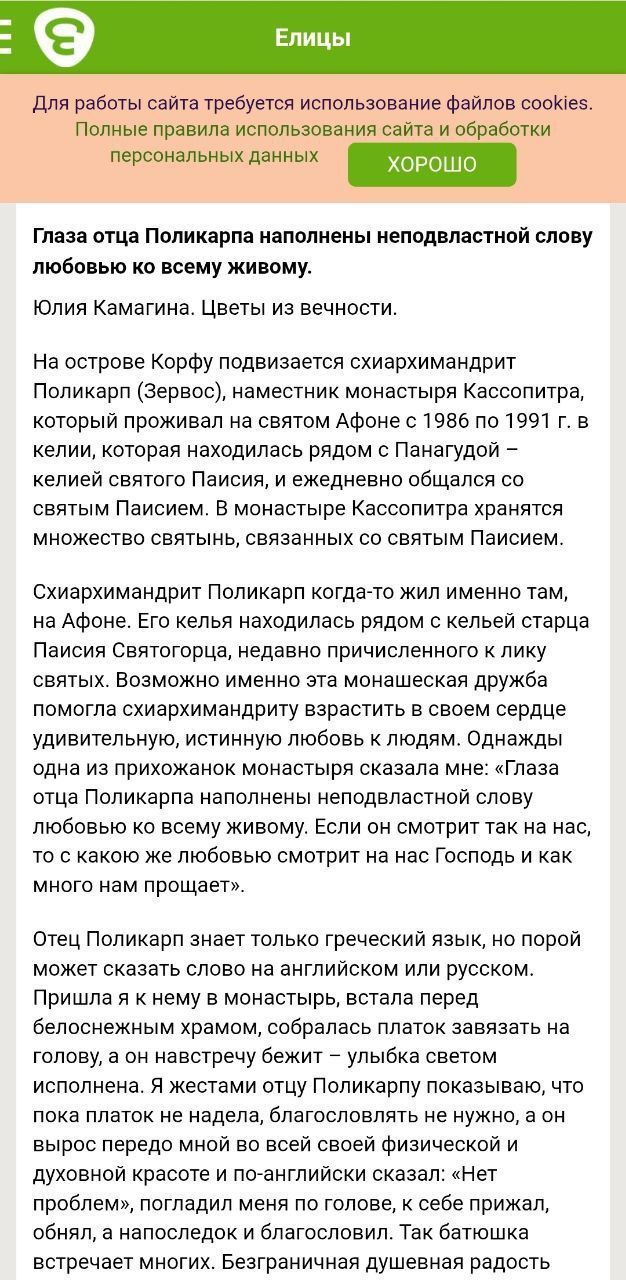 Острів російської пропаганди в Греції для паломників з УПЦ МП - фото 165818