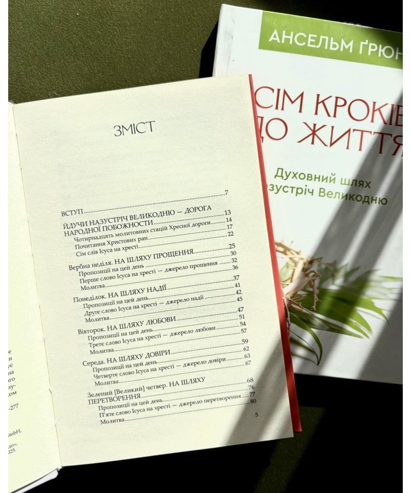 Сім кроків до життя: роздуми над словами Ісуса на хресті - 168757 Сім кроків до життя: роздуми над словами Ісуса на хресті - фото 168757